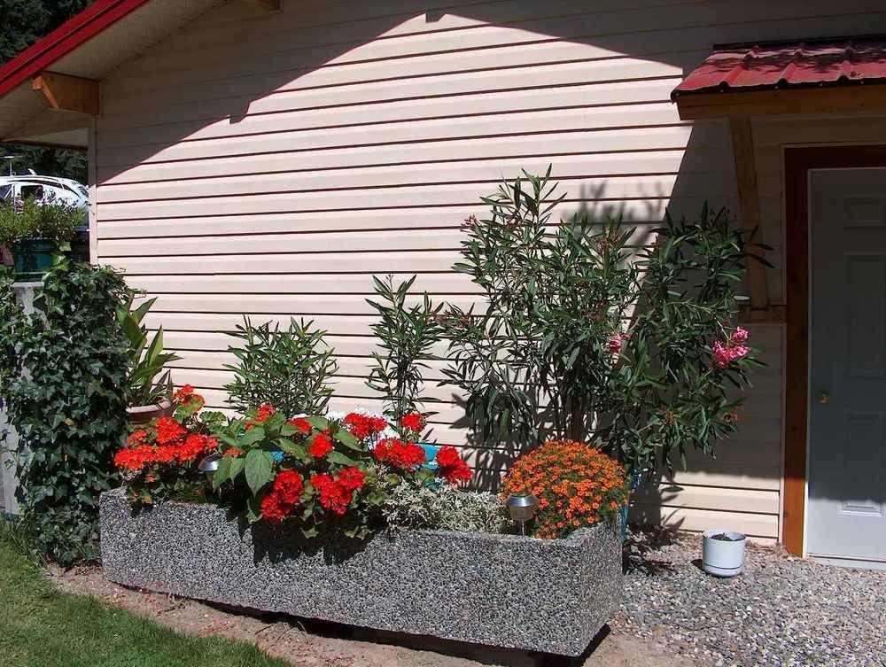 Viewpoint Rv & Cottages Salmon Arm Buitenkant foto